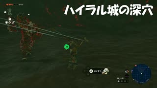 #49【ゼルダの伝説 ティアーズ オブ ザ キングダム】ハイラル城の深穴は地獄でした！