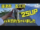 【バス釣り】海津市の五三川で釣りしたらまさかのブラックバス釣りました！釣り動画