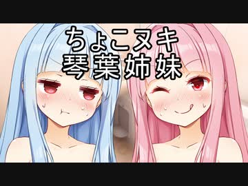 【R-18】ちょこヌキ琴葉姉妹【ボイロAV】