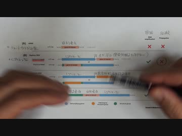 レプリコン反対派に二系統ある