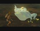 ゼルダの伝説　ティアーズ オブ ザ キングダム　実況プレイPart8