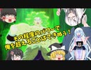 【DBDBD】安定しない⁉苦戦と圧勝のレイダーブロリー！？【ゆっくり実況】