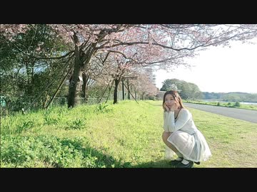 【うなぎ】曖昧さ回避【踊ってみた】