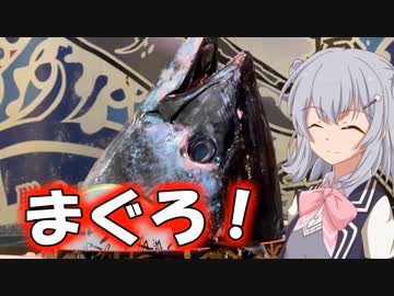 【聖地巡礼投稿祭】りっかのプチ旅行「マグロ、ご期待ください」【小春六花】