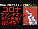 2024年5月13日　国民運動の共同会見（場所：厚生労働省会見室）　100年毎？　5Gは免疫を弱らせる？　ワは免疫を弱らせる？　で医療で儲ける？