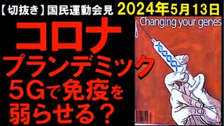 2024年5月13日　国民運動の共同会見（場所：厚生労働省会見室）　パンデミックは100年毎？　5Gは免疫を弱らせるため？　ワクは免疫を弱らせるのが目的？　で医療で儲ける？