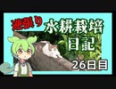 逆張り水耕栽培を楽しむずんだもん（26日目）