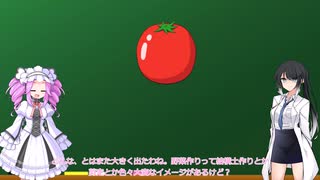 誰でもできる！初めての野菜作り解説！