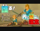 【ゼルダの伝説 BotW】#82　姫を護る！リンクは語らないけど伝わった！