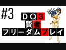 【DQ3】【ゆっくり】賢者フリーダムプレイpart03