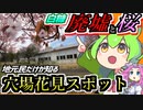 第90位：【釧路廃墟探索】廃墟と桜のコラボレーション・地元民しか知らない穴場花見スポット【釧路のずんだもん】