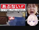 ホモと見る現実だったら怖すぎる事故を起こすVtuber