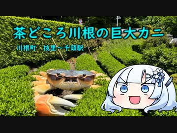 茶どころ川根の巨大カニ　奥大井ツーリング①