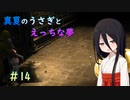 【LASTEVIL】真夏のうさぎとえっちな夢#14【VOICEVOX実況】