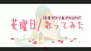 "花曜日"をアレンジして歌うの巻【御旅屋ハクナ】