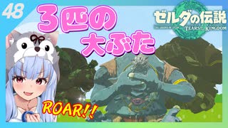 【ゼルダの伝説TotK】自称ゼルダのプロ葵ちゃんは、広大な世界も楽々救ってみせます！#48