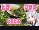 ヒユとシラスのとろとろスープをボロボロ日本語で作る【VOICEROID 東北イタコ】