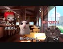 【猫ミーム】家に猫がいるけど保護猫カフェに行ってみた話｜びびちゃんねる