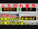 【第六弾】関東のマジでむかつく列車の行先3選【JR東日本】【ゆっくり解説】 #Shorts