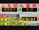 【第六弾】関東のマジでむかつく列車の行先3選【JR東日本】【ゆっくり解説】