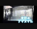 赤ちゃんなまず飼育日記 338日目