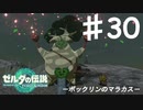 【初見実況】 第三〇話　ボックリンのマラカス　【 ゼルダの伝説 ティアーズオブザキングダム 】