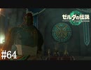 【ゼルダの伝説 Tears of the Kingdom】地図も地上絵もこれで最後かぁ【実況】#64