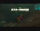 (ティアキン) ゼルダを解放する旅part152 一身の祠巡り【ゼルダの伝説ティーアズオブザキングダム 】
