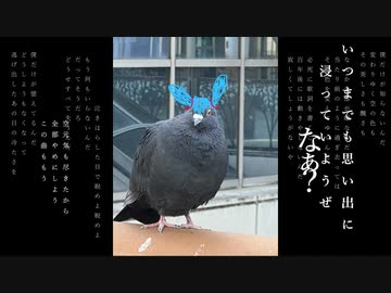 もう全部やめだ