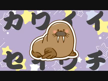 こんなにもかわいいセイウチなんて…見たことない！