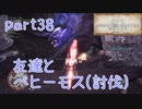 【独り言実況】ゲーム内方向音痴が喘ぐ？モンハンワールド【Part38】