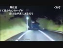 【おったん】高原町サファリパーク「フクロモモンガ」