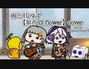 雨と泪/ゆず【知声 Ci-flower】cover