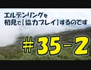 #35-2 エルデンリングを 初見で【協力プレイ】するのです