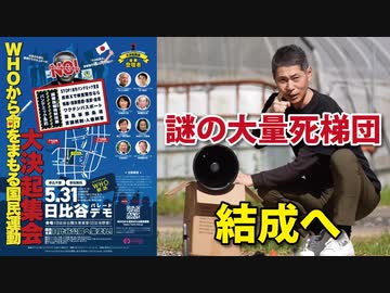 【5.31日比谷パレードデモ】「謎の大量死梯団」結成への道【WHOから命をまもる国民運動】
