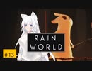 【Rain World】はぐれナメクジネコ あかりの生態に迫る_#13