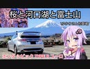 【VOICEROID車載】シビックタイプRユーロ 花見ドライブ！桜と富士山と河口湖一周【HONDA CIVIC】