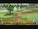 ポケモンアルセウス　オヤブン　コロボーシの捕まえ方は？出現場所は？　＃５６４　【Pokémon LEGENDS アルセウス】
