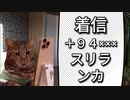 猫ミーム実話　大流行！スリランカからの謎の着信　＃猫ミーム　＃実話　＃事件　＃犯罪　＃詐欺　＃スリランカ