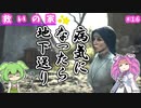 【ドラゴンズドグマ2】四国めたんのマジシャン街道 #16【VOICEVOX実況】