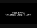 猫ミームでGWの時戦車で骨折した話