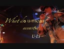 What do you mean (acoustic)～ second half   By U-Li