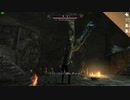 今さらスカイリム＃344　謎に満ちたもう一つの大陸！　新土地＆クエスト追加MOD『AKAVIR The curse of immortals』⑥　ダイセンレ古墳　【Skyrim】