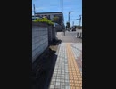 シゲちゃれんじ「中津駅から吉富駅まで全て歩きで行って、最後にじゃんけん」