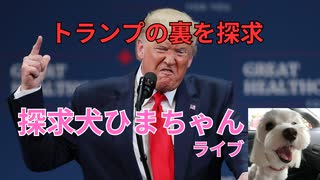 トランプの裏を探求