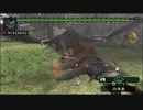 MHP_空の飛竜と陸の飛竜