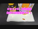 【完全栄養】【生存報告】　生卵10個にドトールオリジナルブレンドドリップカフェを混ぜたら最高のプロテインが完成しました853日目