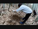 【第266回】たけのこ掘り体験⑤と爪とぎといちご