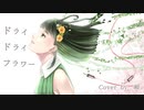 ドライドライフラワー/Rai【歌ってみた】