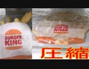 バーガーキングのフレンチフライを圧縮して食べました。I ate compressed French fries from Burger King.